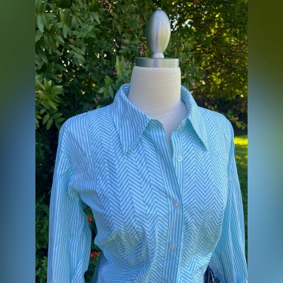 TALBOTS- Aqua Blue & White Button Down Shirt - Picture 7 of 7